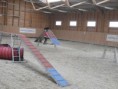 /album/tordaszoo-agility-kupa-2013-oktober1/pa190076-2-jpg1/